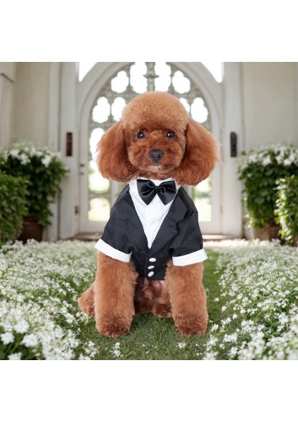 Köpek Smokin Kıyafeti – Siyah - Özel Gün, Parti ve Düğün Için Şık Elbise