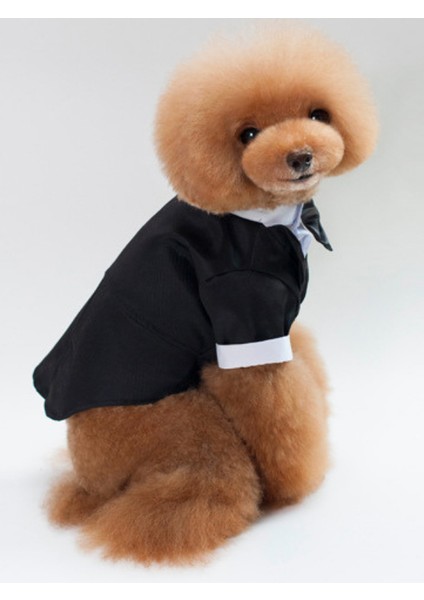 Köpek Smokin Kıyafeti – Siyah - Özel Gün, Parti ve Düğün Için Şık Elbise modelleri