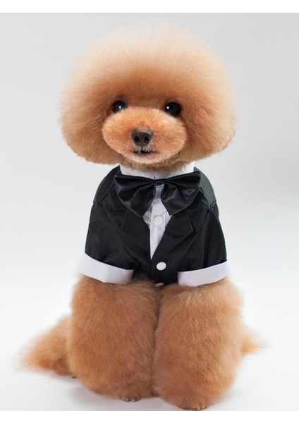 Köpek Smokin Kıyafeti – Siyah - Özel Gün, Parti ve Düğün Için Şık Elbise fırsatları