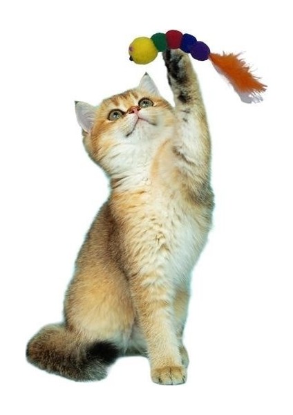 ® Yumuşak Renkli Tırtıl Evcil Hayvan Oyuncağı fiyatları