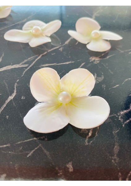 Beyaz Incili Çiçek (25 Adet) fiyatları