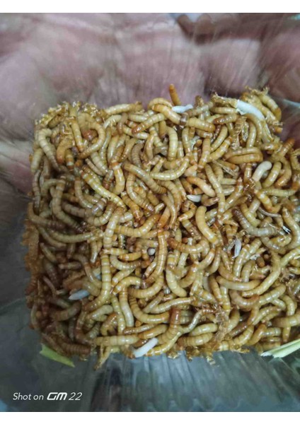 Unkurdu 50 gr