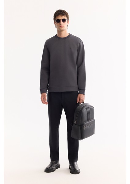 Erkek Antrasit Bisiklet Yaka Pamuklu Bi-Stretch Regular Fit Sweatshirt A52Y1271