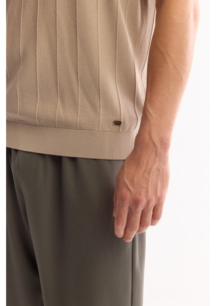 Erkek Vizon Polo Yaka Fermuarlı Rayon Tüylenmeyen Çizgili Triko Regular Fit T-Shirt A52Y5010 indirimleri