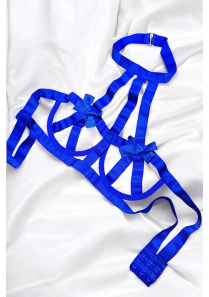 Fiyonk Detaylı Balenli Mavi Fantazi Sütyen Takımı TM1354 fiyatları