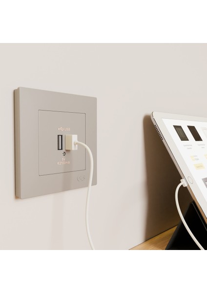 Eqona Gümüş 2 USB Çıkışlı Şarj Prizi 5V 2.1A fırsatları