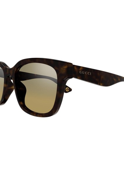 Gg 1639SA 002 55 19 Güneş Gözlüğü fiyatları