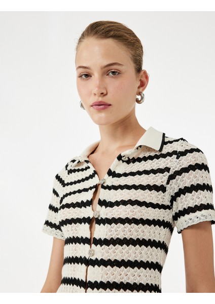 Kısa Kollu Düğmeli Ajurlu Polo Yaka Triko Hırka