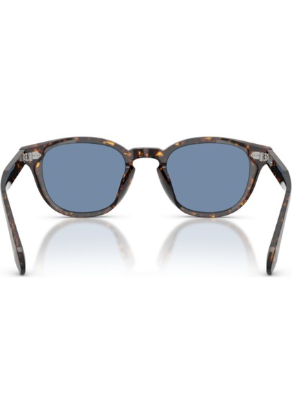 Güneş Gözlüğü OV5586SU 1741GH Photocromic