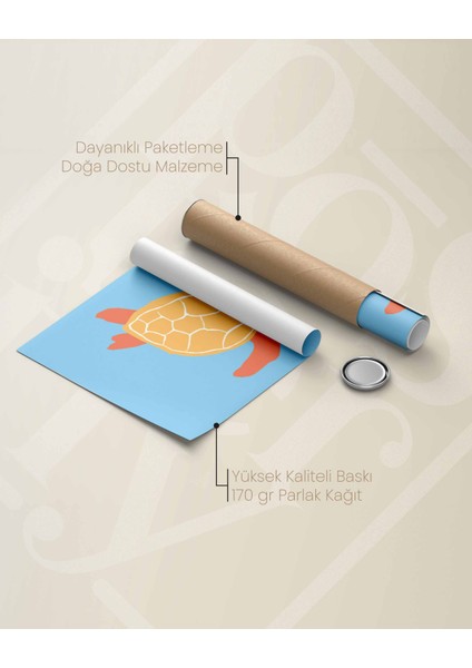 Kaplumbağa - Minimal ve Sevimli Çocuk Odası Poster