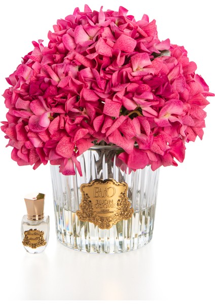 Gold Fuşya Ortanca | Kaliteli ve Uzun Süre Kalıcı Koku