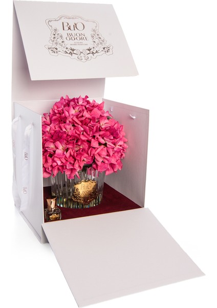 Gold Fuşya Ortanca | Kaliteli ve Uzun Süre Kalıcı Koku fiyatları