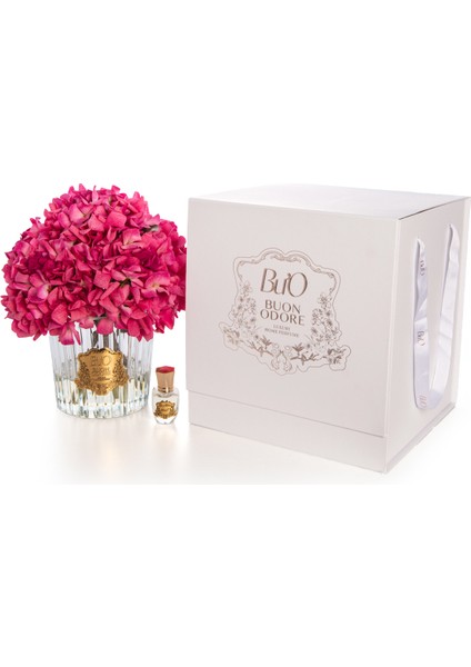 Gold Fuşya Ortanca | Kaliteli ve Uzun Süre Kalıcı Koku modelleri