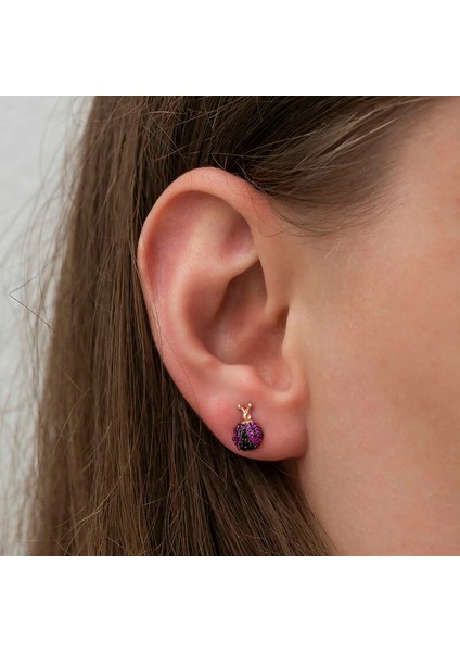 Gümüş Uğur Böceği Küpe fiyatları