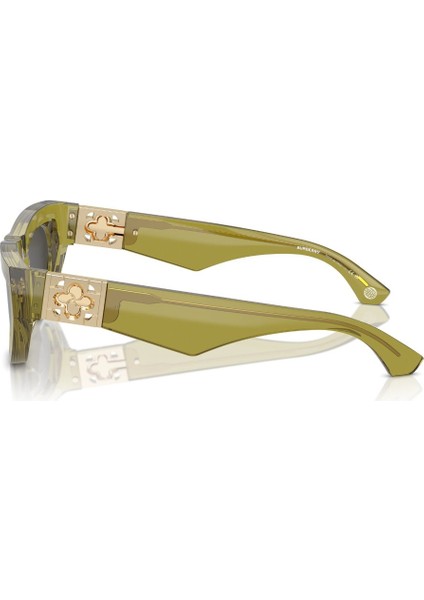 0BE4422U 411887 58 Unisex Güneş Gözlüğü modelleri