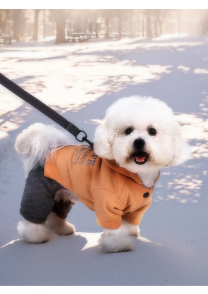 Köpek Kıyafeti - Kapüşonlu Kışlık Tulum - Turuncu - M Beden modelleri