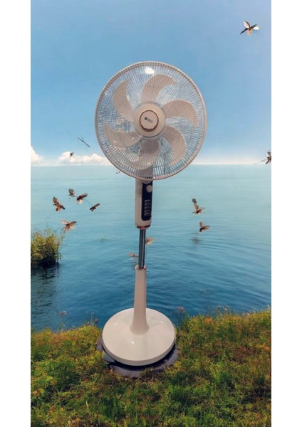 TR-515 Pembe 18 Inç 6 Kanatlı 4 Kademeli Vantilatör modelleri