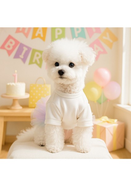 Köpek Elbisesi Doğum Günü – It’s My Birthday Yazılı - Renkli Tül Etekli - Parti Kıyafeti fırsatları