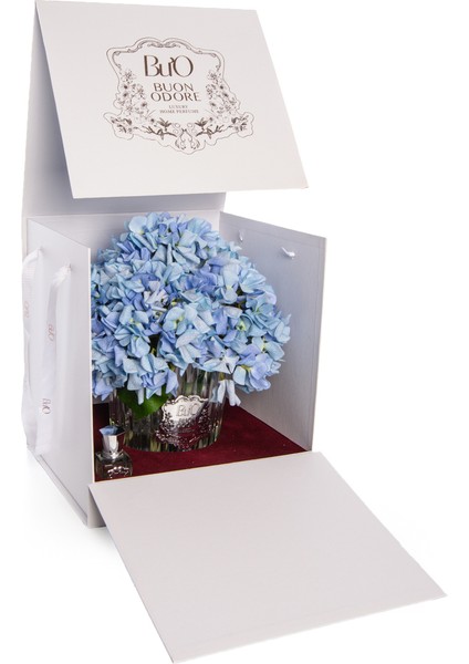 Silver Mavi̇ Ortanca | Kaliteli ve Uzun Süre Kalıcı Koku