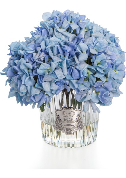 Silver Mavi̇ Ortanca | Kaliteli ve Uzun Süre Kalıcı Koku fiyatları