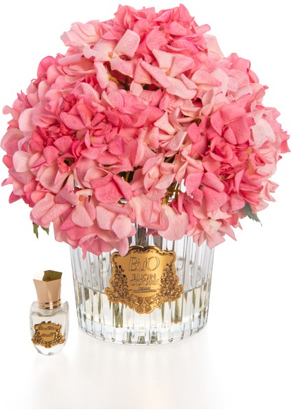 Gold Pembe Ortanca | Kaliteli ve Uzun Süre Kalıcı Koku