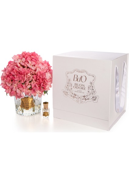 Gold Pembe Ortanca | Kaliteli ve Uzun Süre Kalıcı Koku fiyatları