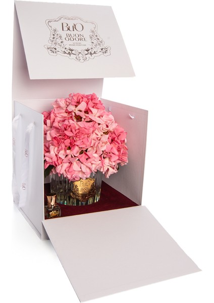 Gold Pembe Ortanca | Kaliteli ve Uzun Süre Kalıcı Koku modelleri