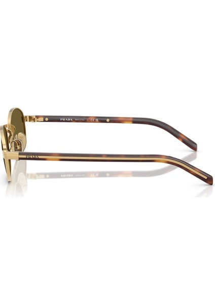 B53S GÜNEŞ GÖZLÜĞÜ modelleri