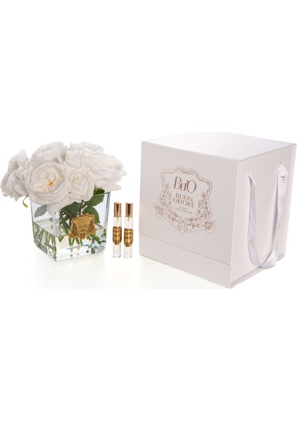 Kare Cam Si̇lver Şakayik Beyaz | Kaliteli ve Uzun Süre Kalıcı Koku