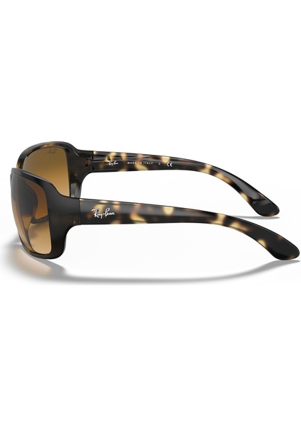 4068-60 710/51 Kadın Güneş Gözlüğü modelleri