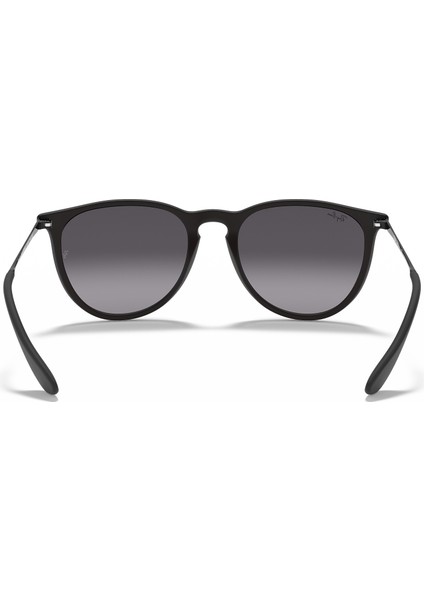 RB 4171 622/8G 54 Erika Unisex Güneş Gözlüğü fırsatları