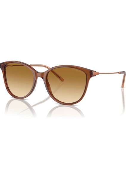 EA4220 61103B 54 Unisex Güneş Gözlüğü