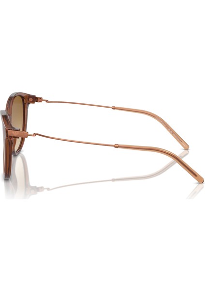 EA4220 61103B 54 Unisex Güneş Gözlüğü modelleri