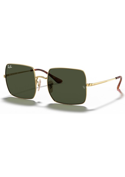 0RB1971-91473154 Unisex Güneş Gözlüğü