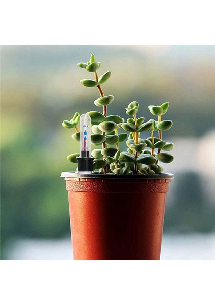 8 Adet Iç Mekan Bitkilerinin Saksıları Için Su Seviye Göstergesi (Yurt Dışından) modelleri