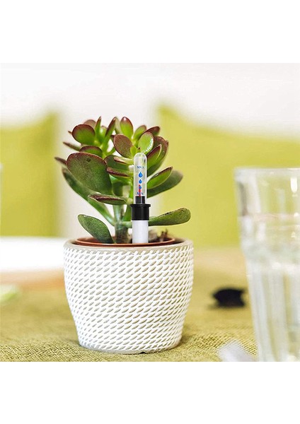 8 Adet Iç Mekan Bitkilerinin Saksıları Için Su Seviye Göstergesi (Yurt Dışından) indirimleri