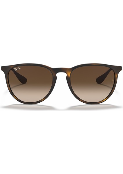 RB 4171 865/13 54 Erika Unisex Güneş Gözlüğü fiyatları
