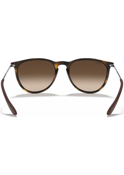 RB 4171 865/13 54 Erika Unisex Güneş Gözlüğü fırsatları