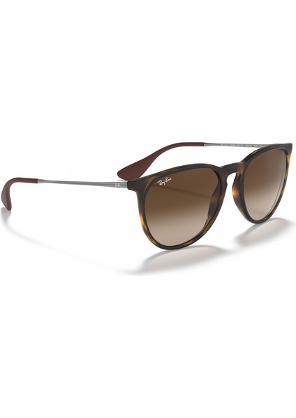 RB 4171 865/13 54 Erika Unisex Güneş Gözlüğü indirimleri