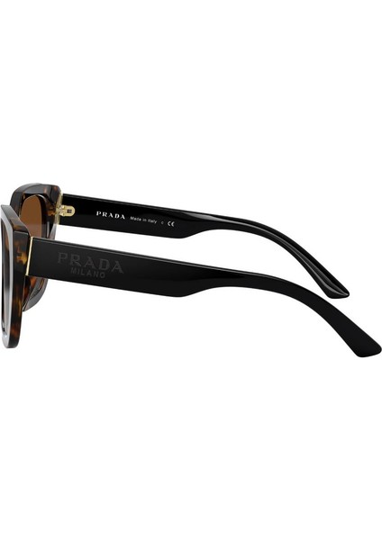 SPR24X 2AU6S1 52 Kadın Güneş Gözlüğü modelleri