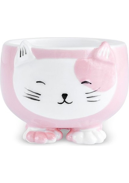 Kitty Çerezlik Pembe 7x9 cm