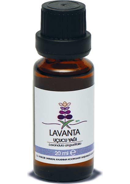 Yer-Koop Lavanta Yağı 20ML