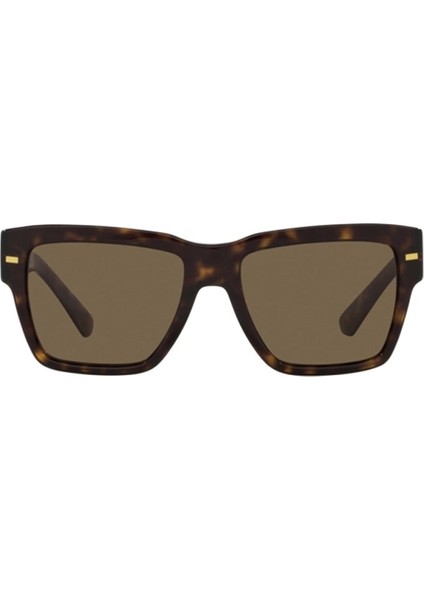 4431 502/73 55 Kadın Güneş Gözlüğü fiyatları