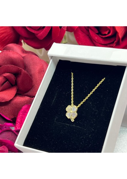 Yonca Kadın Kolyesi 925 Ayar Gümüş Altın Kaplama Zirkon Taşlı