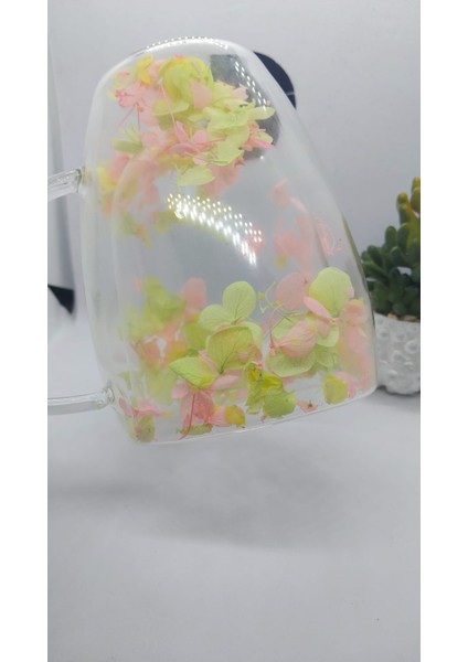 Isıya Dayanıklı Çift Cidarlı Kurutulmuş Canlı Çiçekli Kupa (Sarı&yeşil&pembe) fırsatları