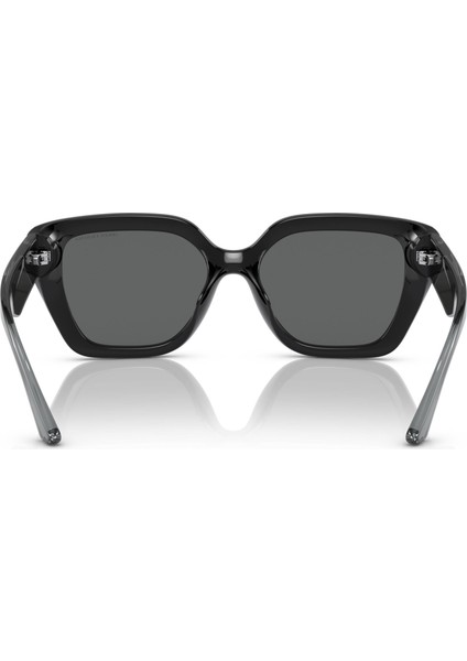 Armanı Exchange 4125SU 815887 54 Kadın Güneş Gözlüğü modelleri