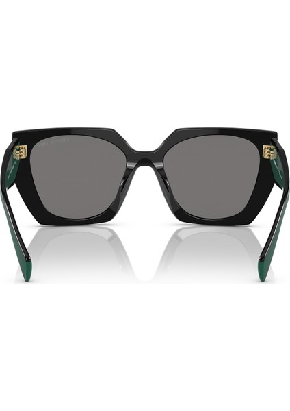 15WS-54 1AB5Z1 Kadın Güneş Gözlüğü fırsatları