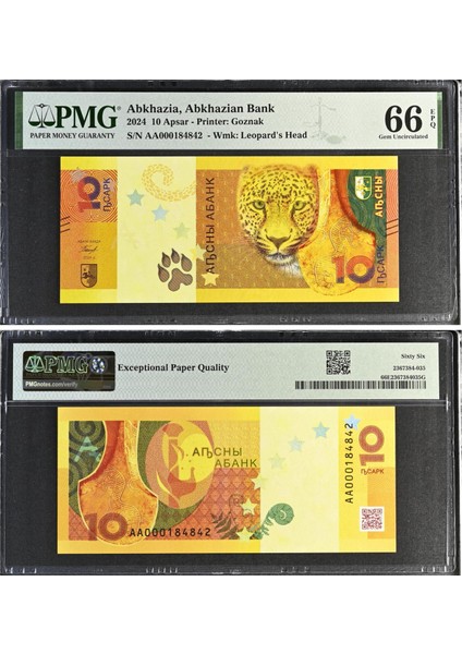 Abhazya 10 Apsar - 2024 - Çil - Pmg Epq 66