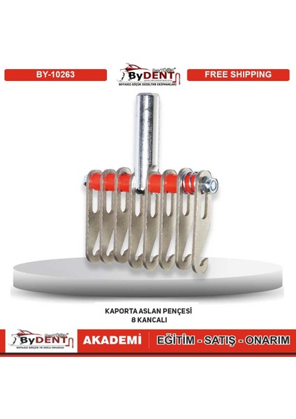 Aslan Pençesi 8 Li Başlık