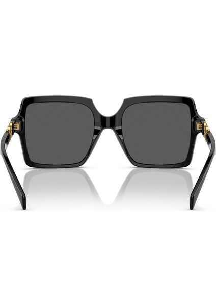 4441 Gb1/87 55 Kadın Güneş Gözlüğü modelleri